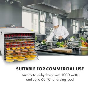 Klarstein Fruit Jerky Steel 10, sušička ovocia, 1000 W, 10 poschodí