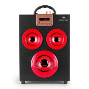 Auna Central Park, 2.1 bluetooth reproduktor, USB, SD, prenosný