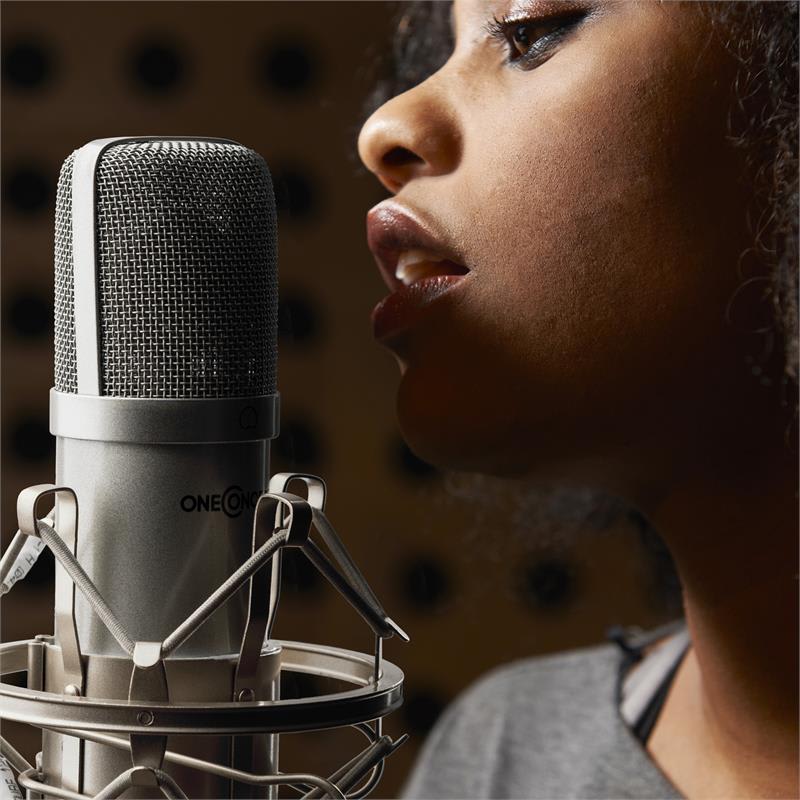 OneConcept Mic-700, strieborný, štúdiový mikrofón, Ø34 mm, univerzálny, pavúk, ochrana pred vetrom, XLR – Obrázok 4