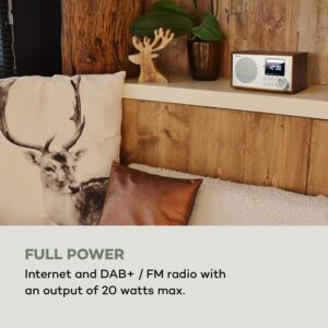 Auna Silver Star Mini, internetové DAB+/FM rádio, WiFi, BT, DAB+/FM, dub