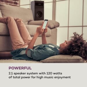 Auna Karaboom 100, vežový reproduktor, 120 W max., bluetooth, 2 v 1 USB, čierny