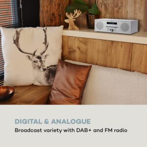 Auna Silver Star CD-DAB, rádio s CD, 2 x 20 W max., štrbinový CD prehrávač, DAB+, BT, Alu, biely