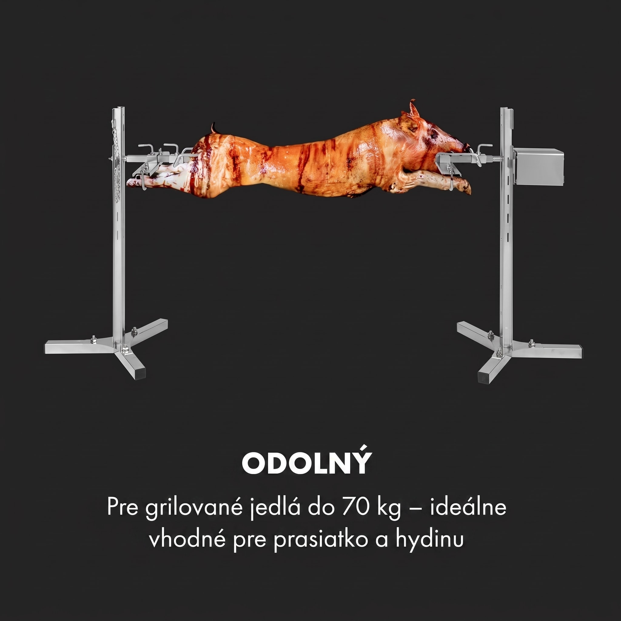 Klarstein Sauenland Survivor, gril na prasiatko, otočný špíz, 12 W, max. 70 kg, ušľachtilá oceľ – Obrázok 4