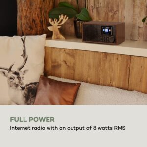 Auna Silver Star Mini Internetové DAB+/UKW rádio, WiFi, BT, USB, ovládanie cez aplikáciu